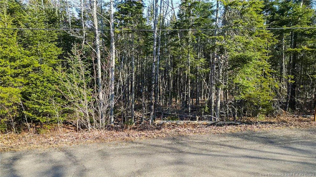 98-1 Mast Rd, Three Tree Creek, NB