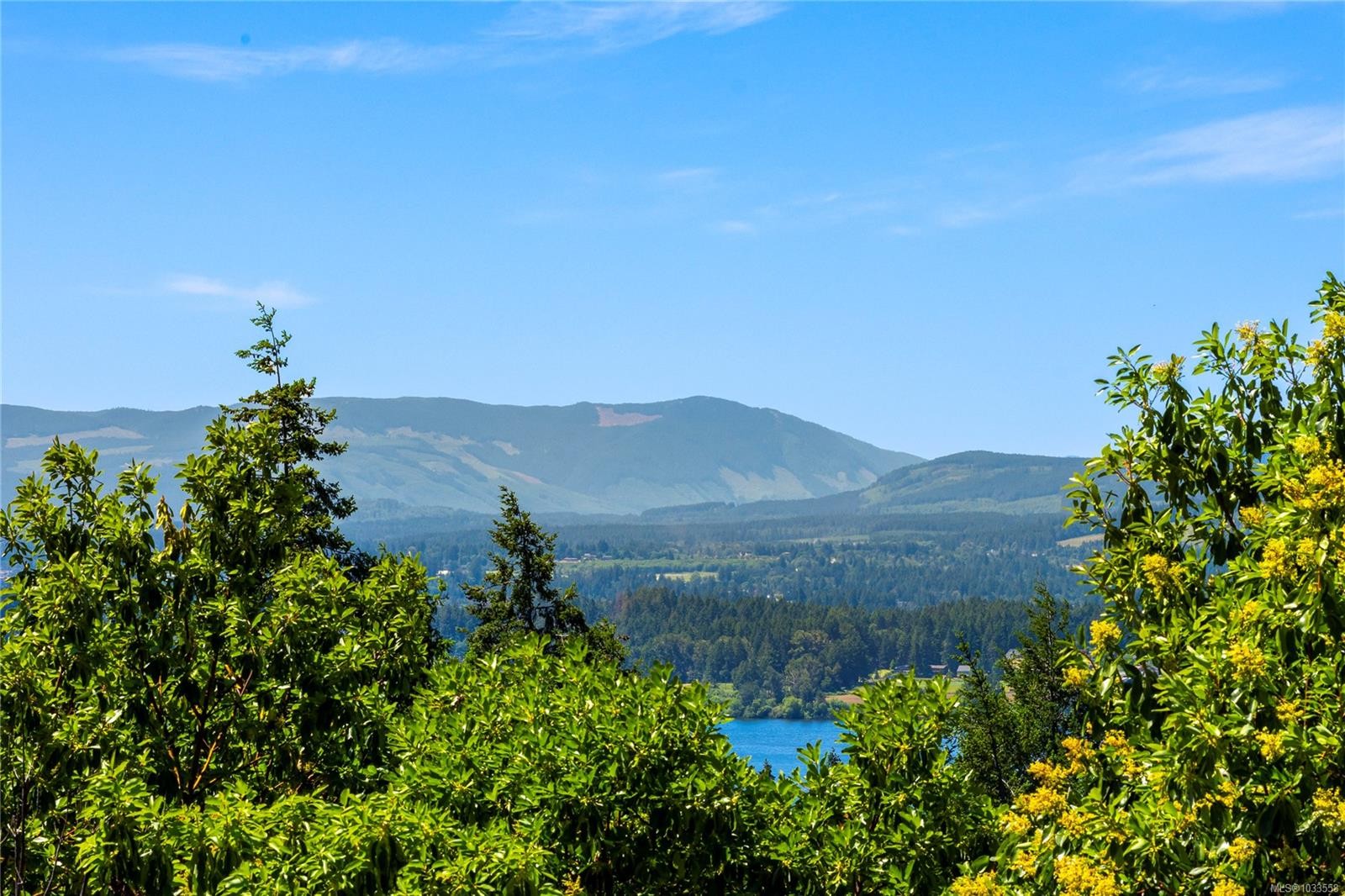 1158 Kathleen Dr, Duncan, BC
