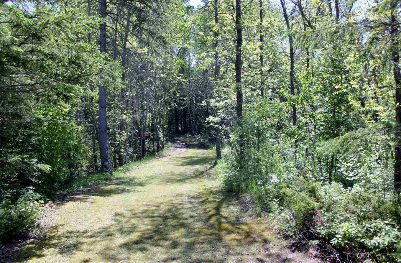499 Aksel Rd, Rainy River, ON