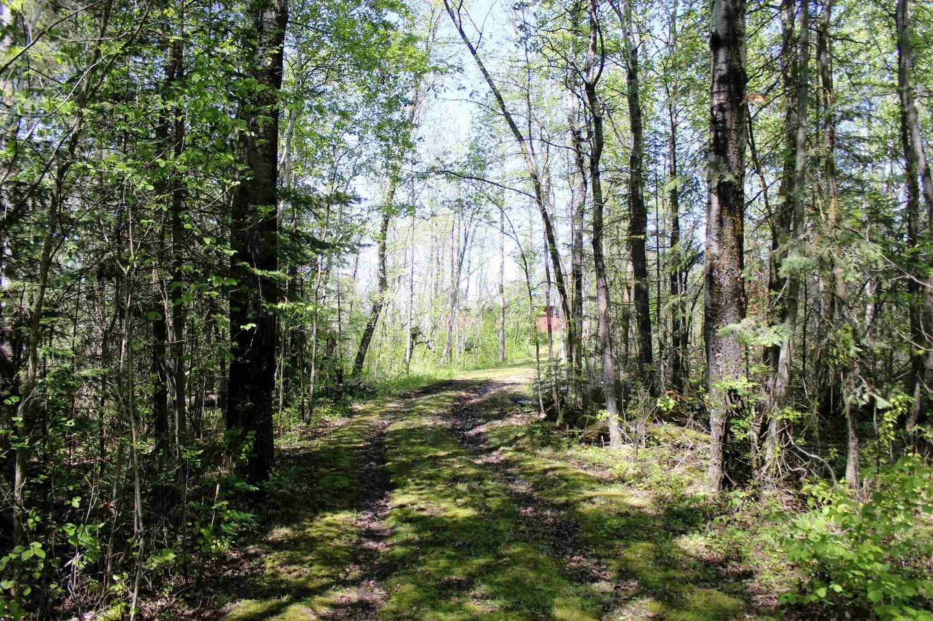 499 Aksel Rd, Rainy River, ON