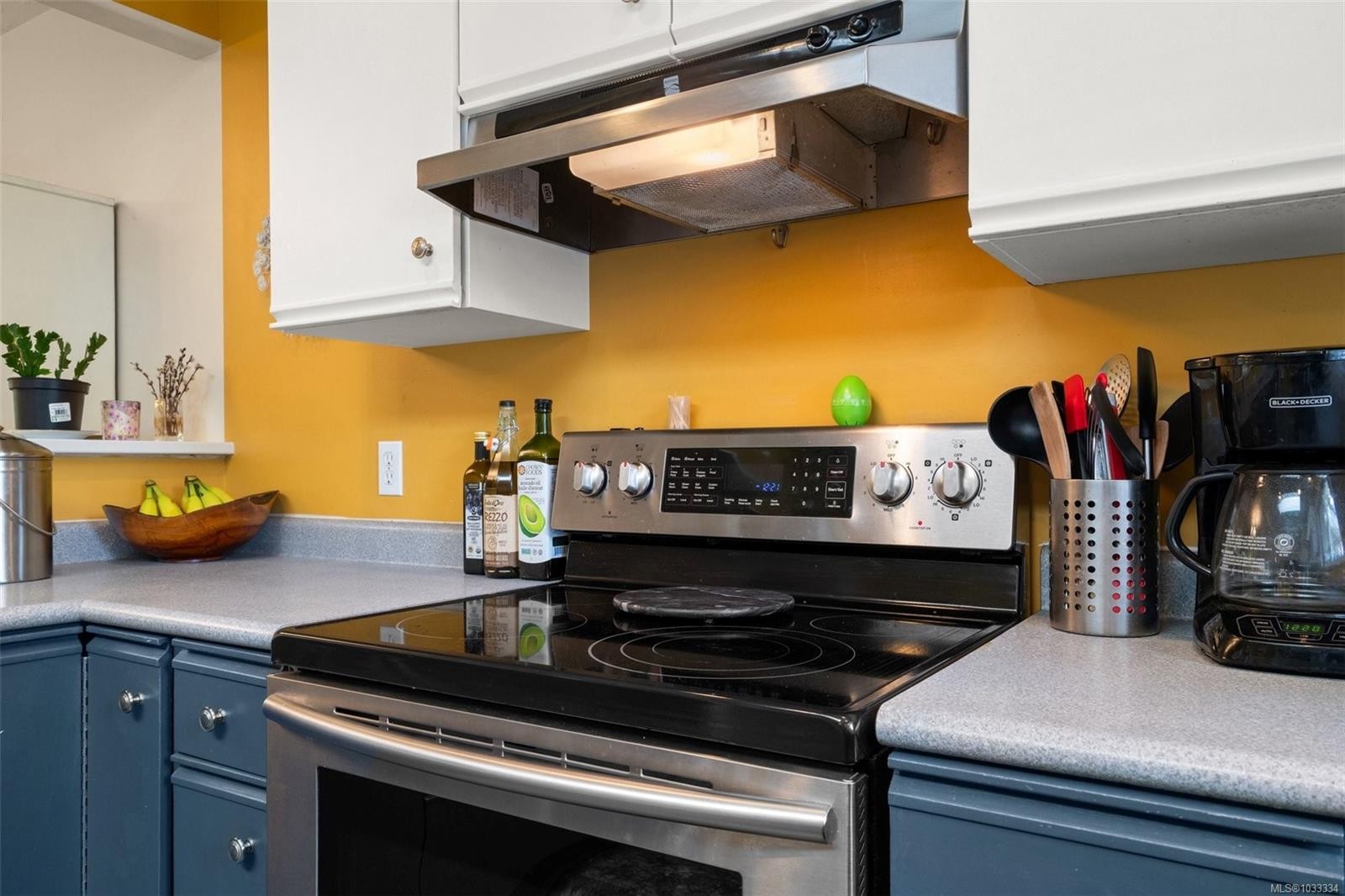 6419 Wicks Rd, Duncan, BC - Indoor Photo Showing Kitchen