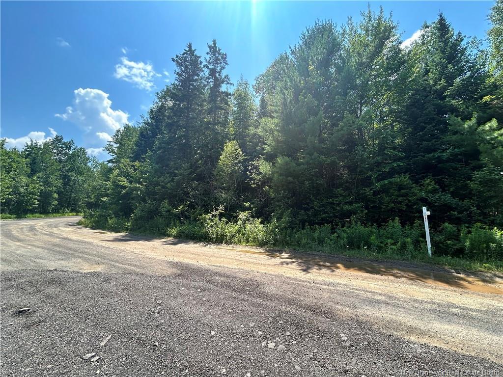 Lot David, Galloway, NB - Outdoor With View