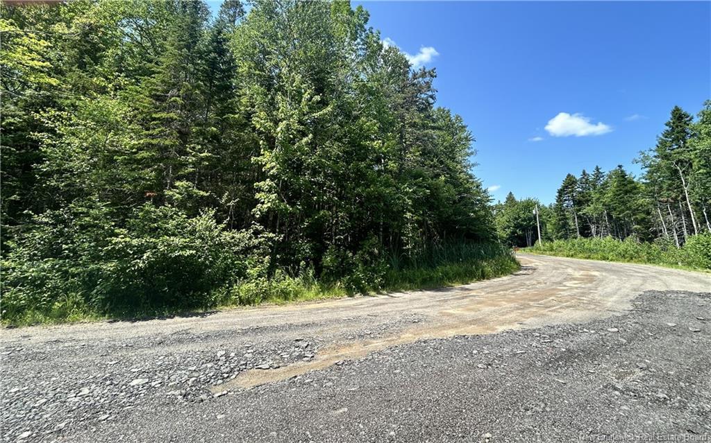 Lot David, Galloway, NB - Outdoor