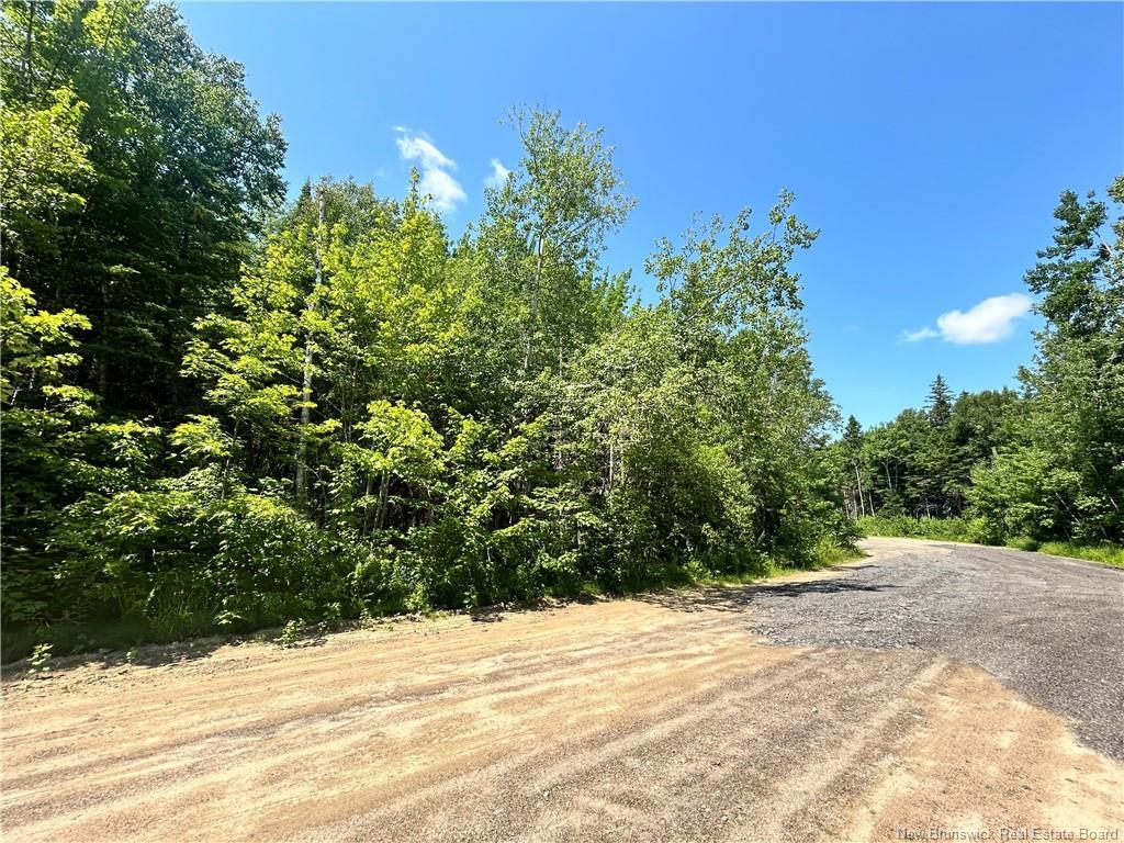 Lot David, Galloway, NB