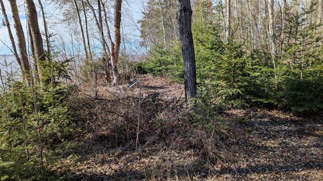 100 Little Deer Dr, Little Deer, MB