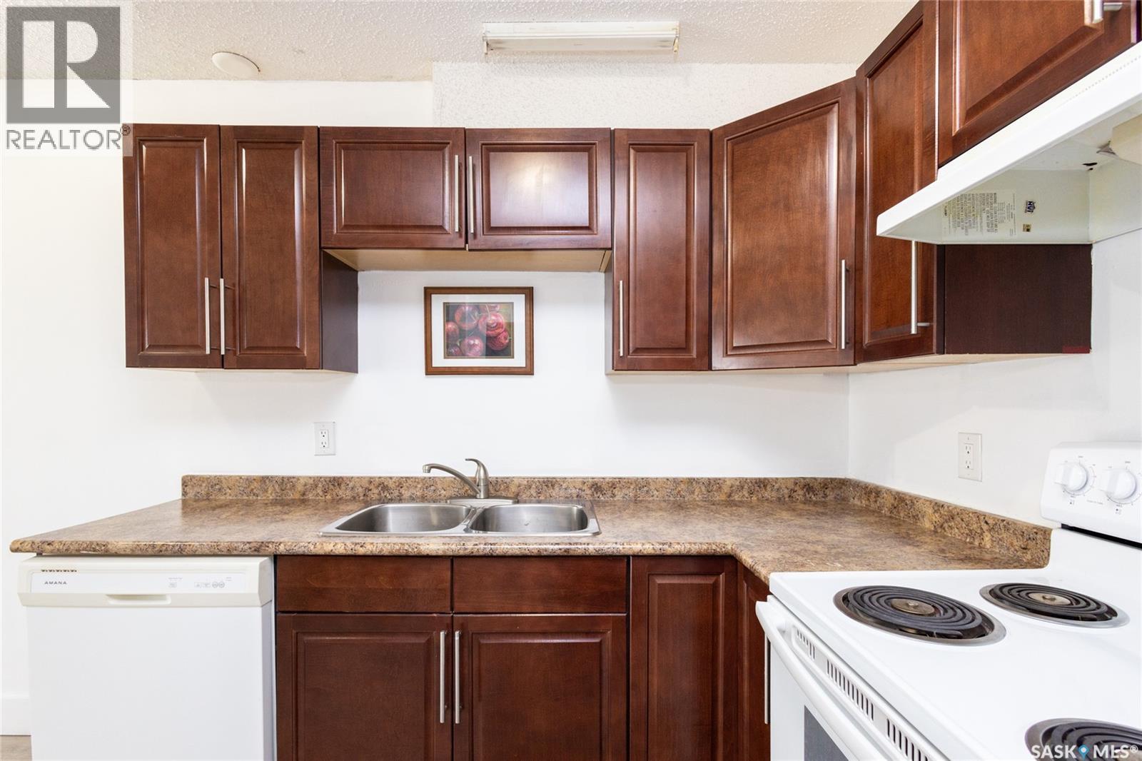 307 512 4Th Avenue N, Saskatoon, SK - Indoor Photo Showing Kitchen With Double Sink