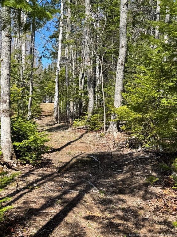 44 Robichaud Cross Rd, Robichaud Settlement, NB