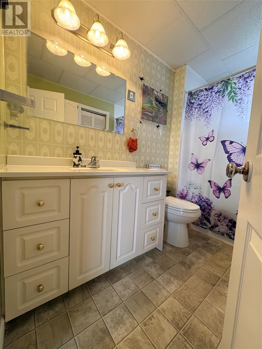 162 Main Street, Summerford, NL - Indoor Photo Showing Bathroom