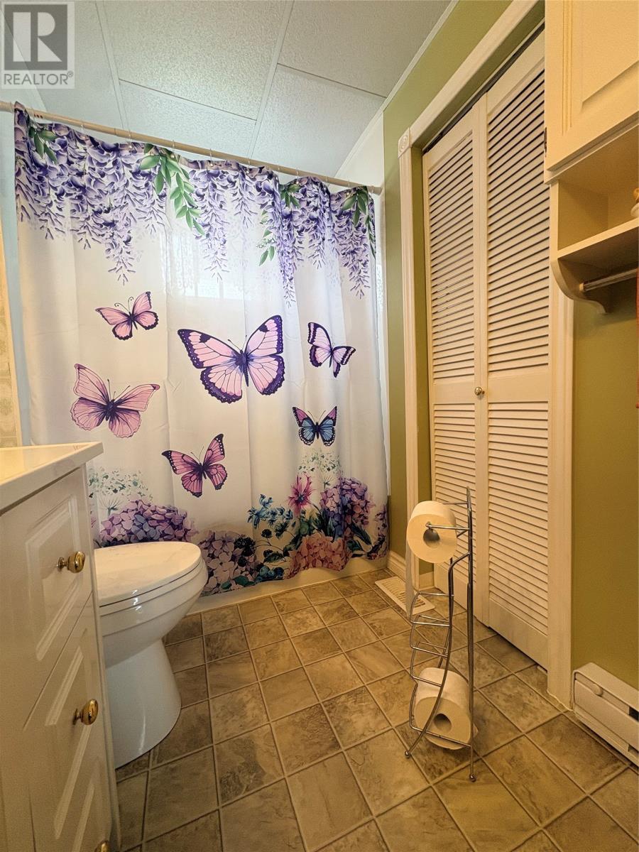 162 Main Street, Summerford, NL - Indoor Photo Showing Bathroom