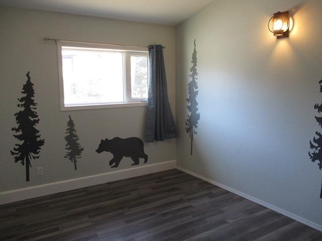 849 Mcintyre Drive, Dryden, ON - Indoor Photo Showing Other Room