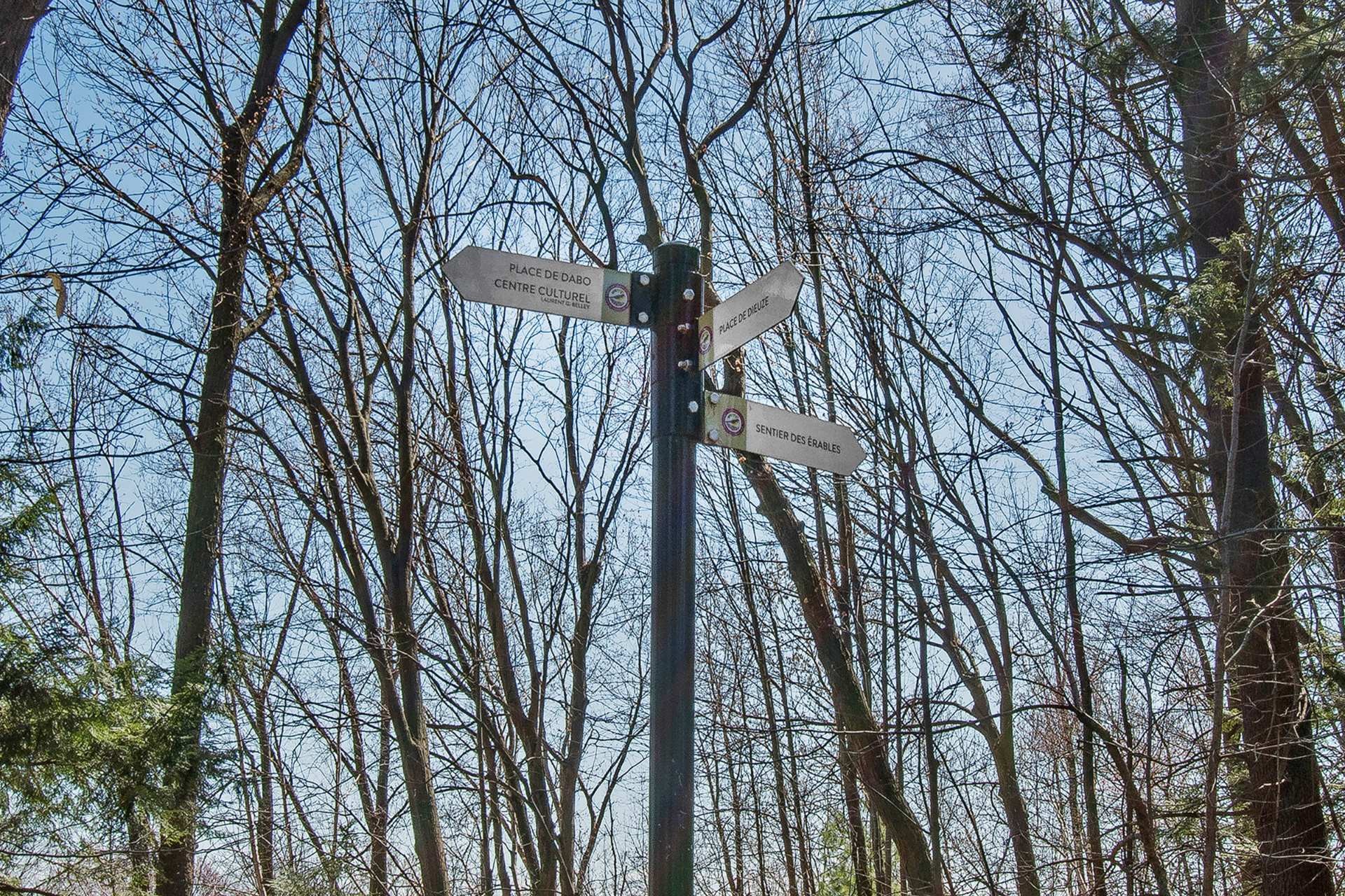 Wooded area - 10 Place De Dieuze, Lorraine, QC - Outdoor With View