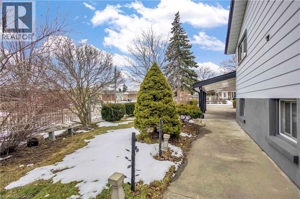 Side yard featuring a concrete pathway, established evergreen trees, and perimeter fencing - 85 Ranchdale Drive, Hamilton, ON - Outdoor