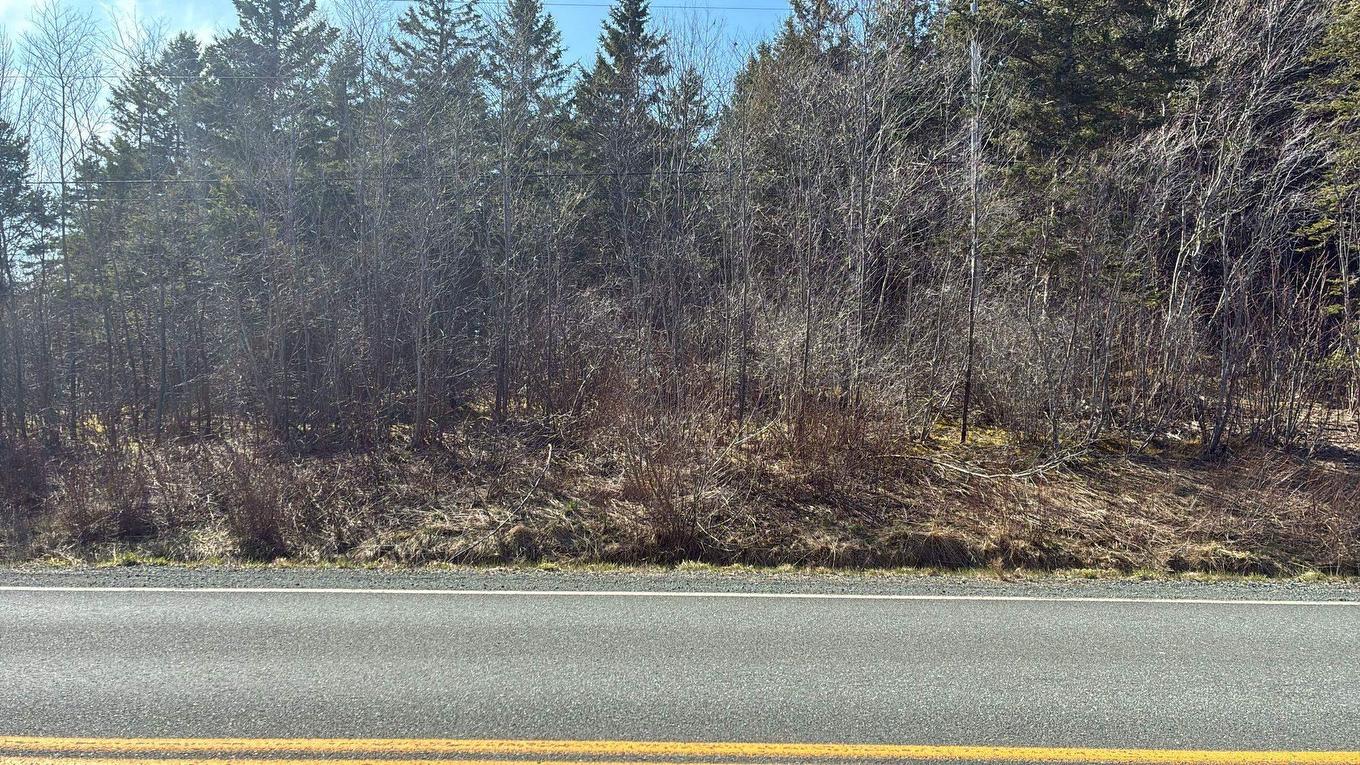 Highway#7, Ashdale, NS
