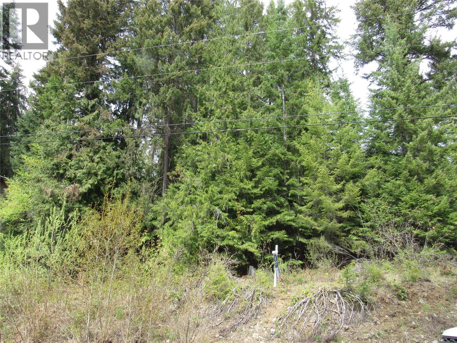 Lot 19 Nelson Rural 08182.190 Lot# 19, Bonnington Falls, BC