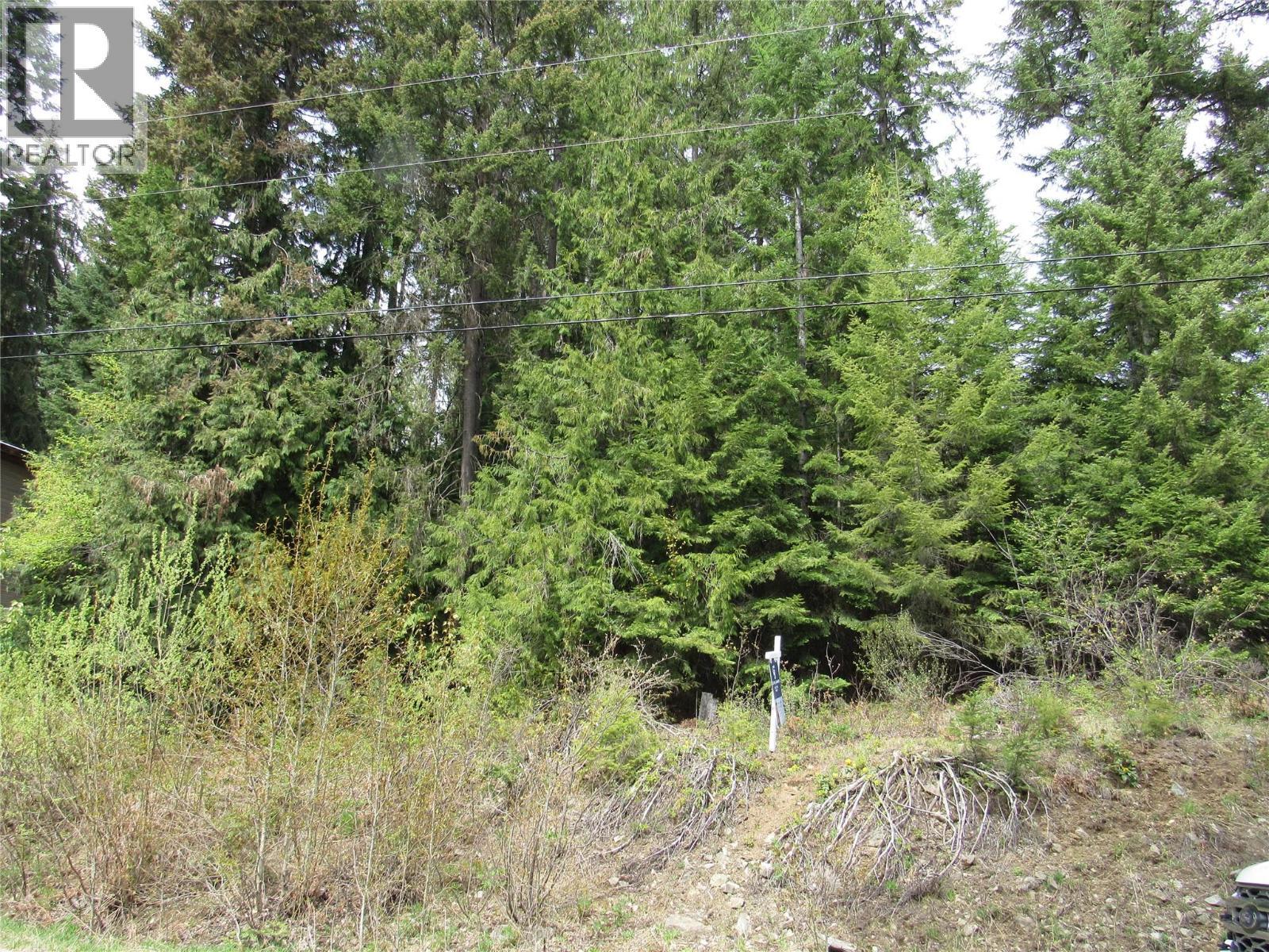 Lot 19 Nelson Rural 08182.190 Lot# 19, Bonnington Falls, BC
