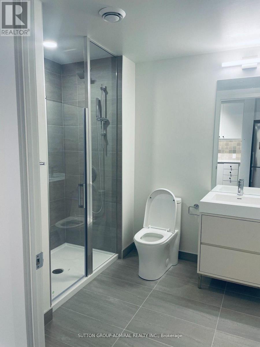 306 - 9 Tecumseth Street, Toronto, ON - Indoor Photo Showing Bathroom