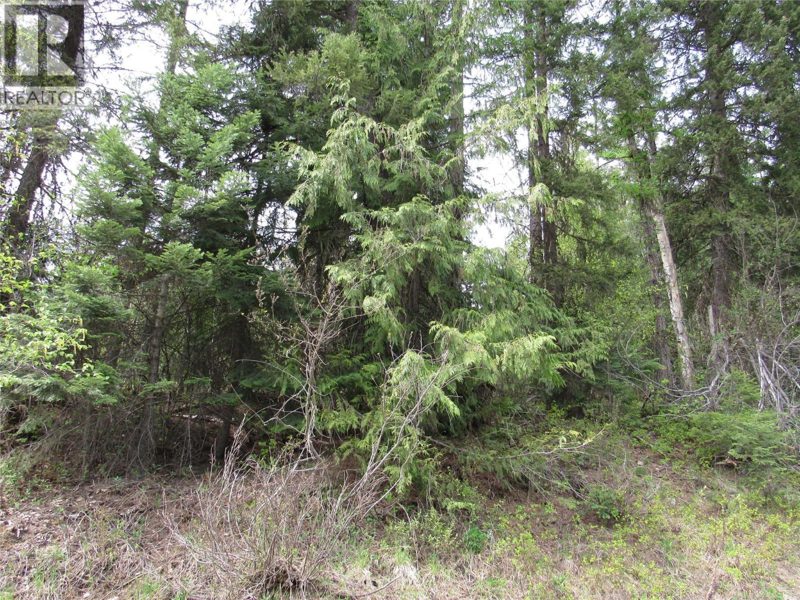 Lot 14 Nelson Rural 08182.140 Lot# 14, Bonnington Falls, BC