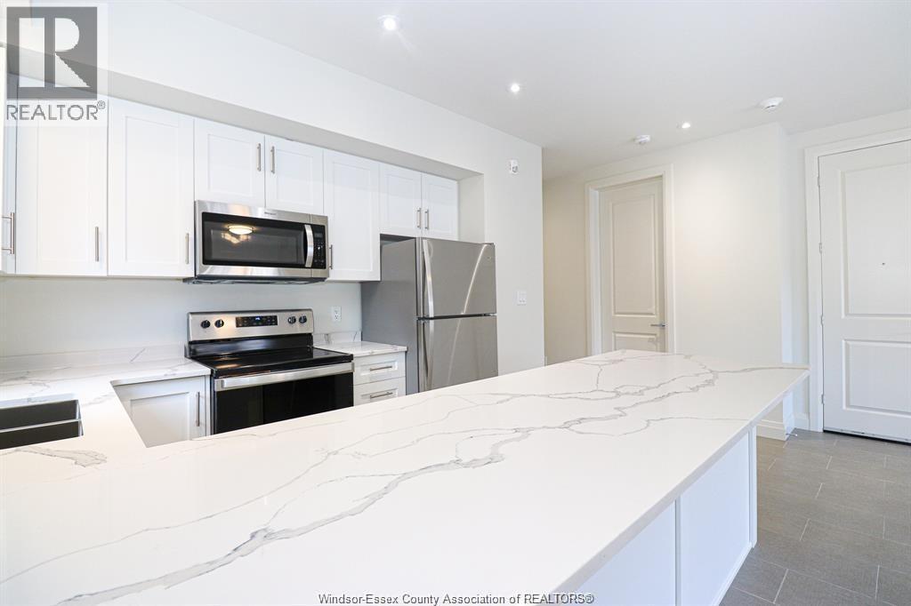 233 Watson Unit# 201, Windsor, ON - Indoor Photo Showing Kitchen With Double Sink