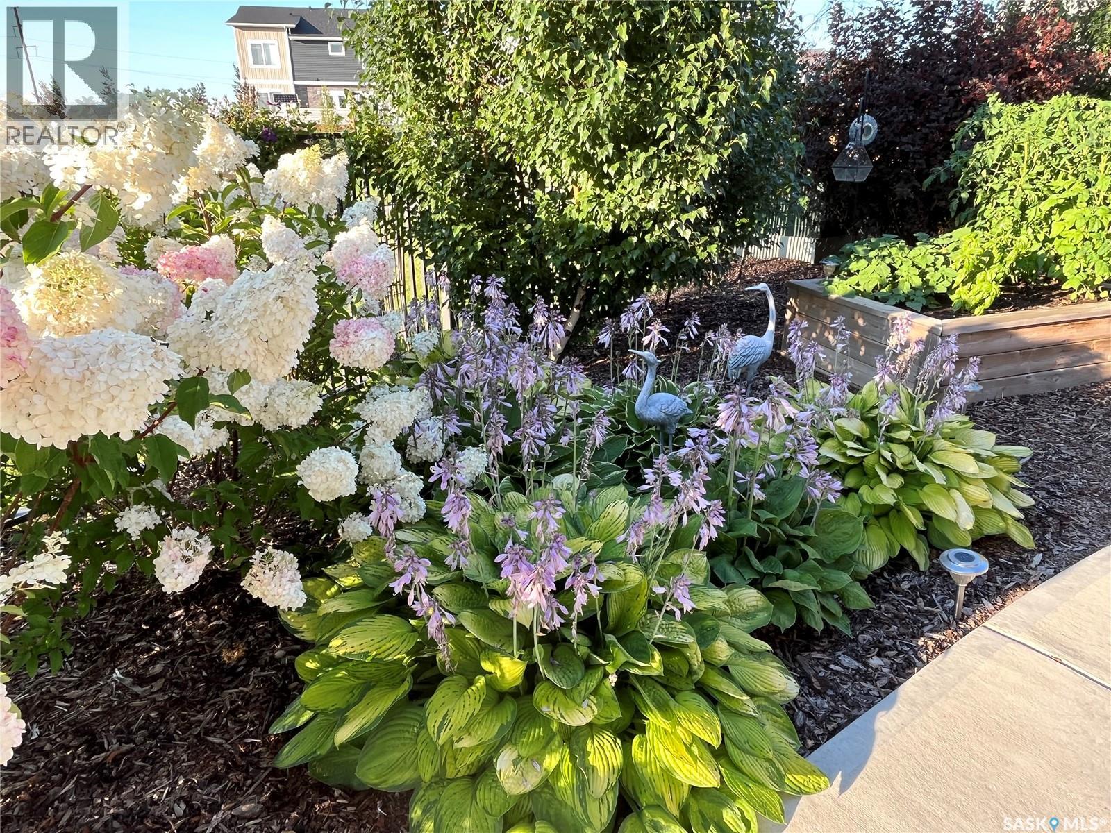 803 Salloum Crescent, Saskatoon, SK - Outdoor