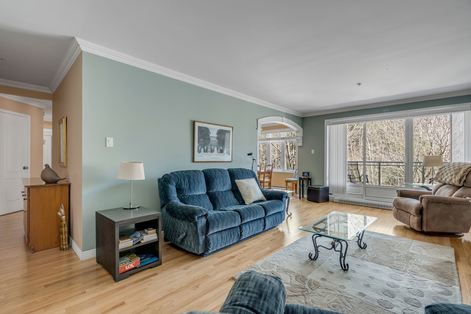 Salon - 205-910 Rue Valentin, Québec (Sainte-Foy/Sillery/Cap-Rouge), QC - Indoor Photo Showing Living Room