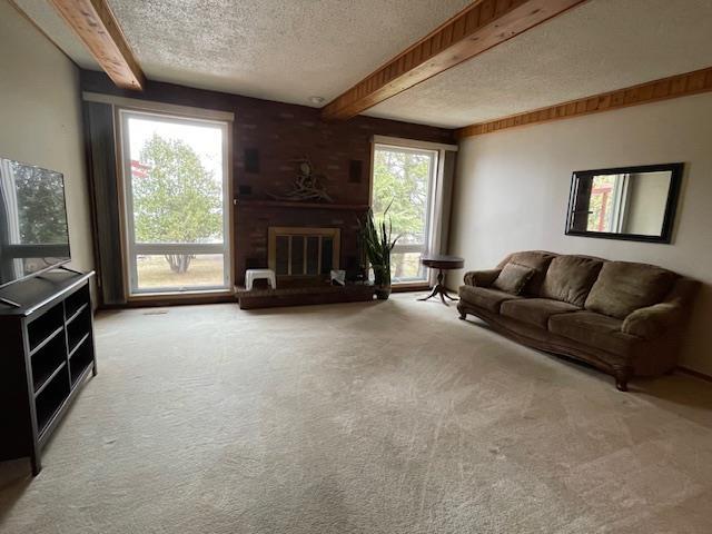 27 Parker Point Loop Road, Dryden, ON - Indoor Photo Showing Living Room With Fireplace