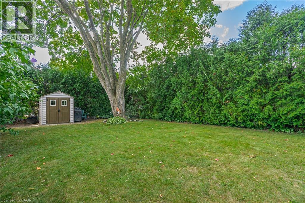 Expansive lawn area featuring a mature tree, a privacy hedge along the perimeter, and a storage shed with double doors and window accents - 179 Vancouver Street, London, ON - Outdoor