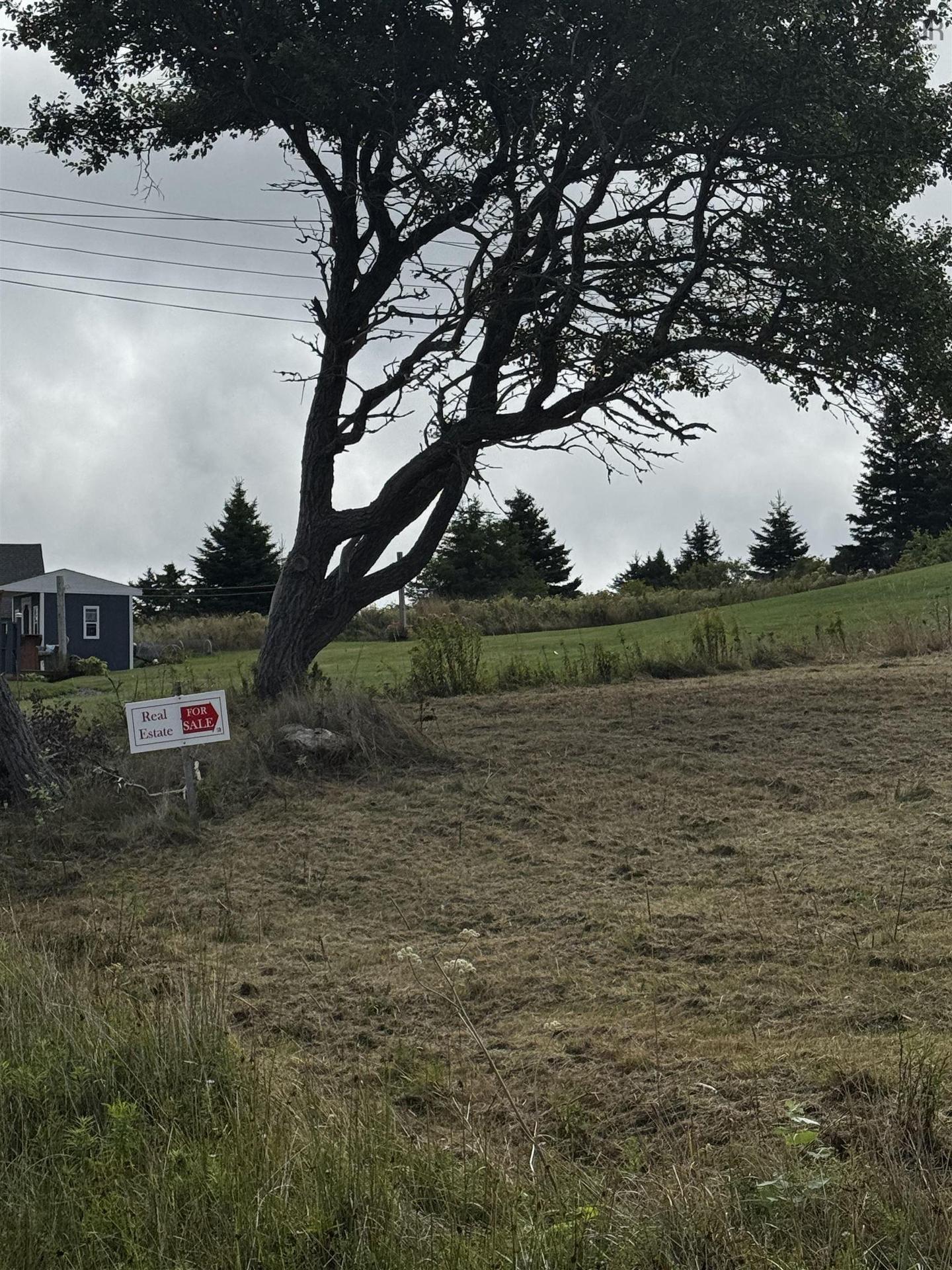 20 Hurst Street, Canso, NS
