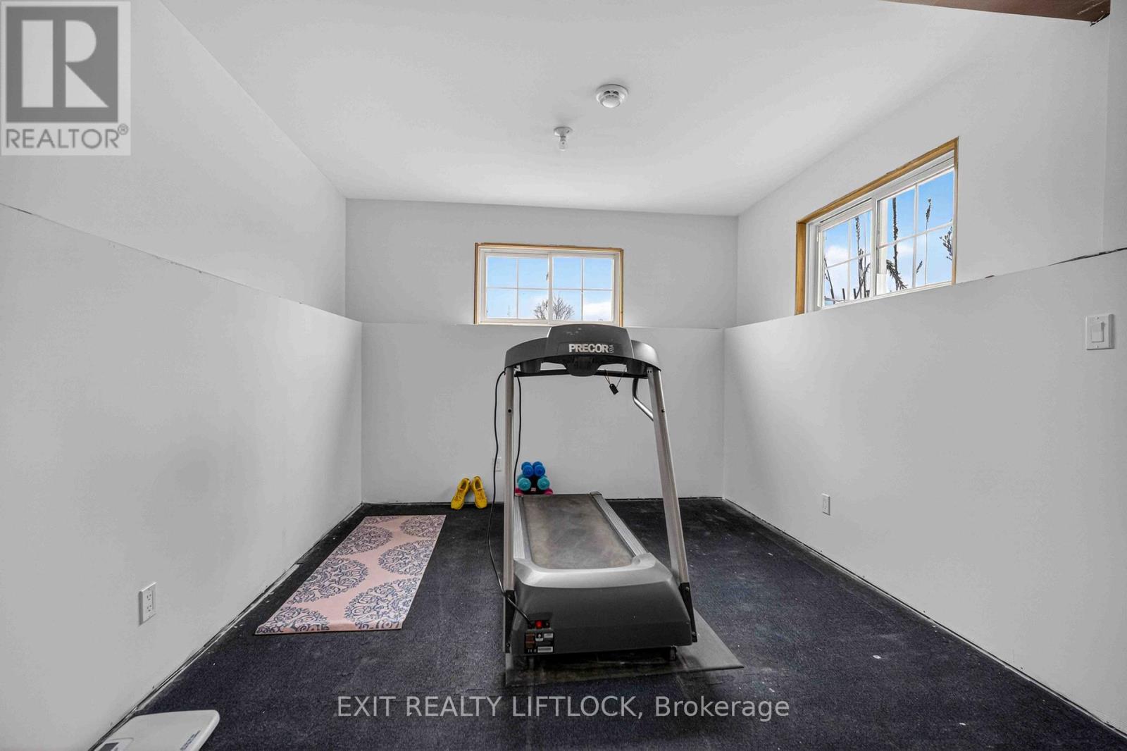 Recreation room - 1479 Webster Road, Douro-Dummer, ON
