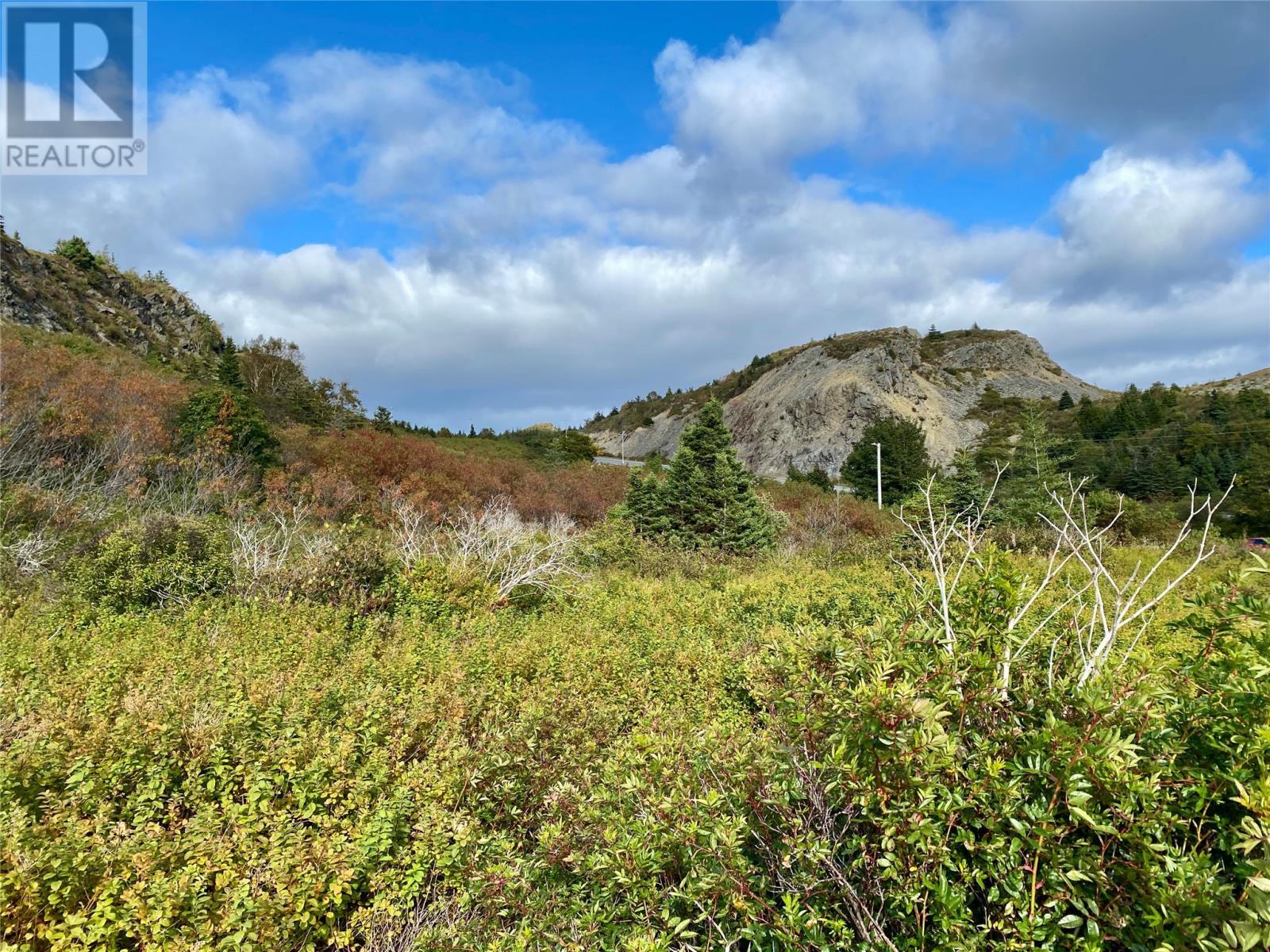 6-8 Old Road N, Salmon Cove, NL