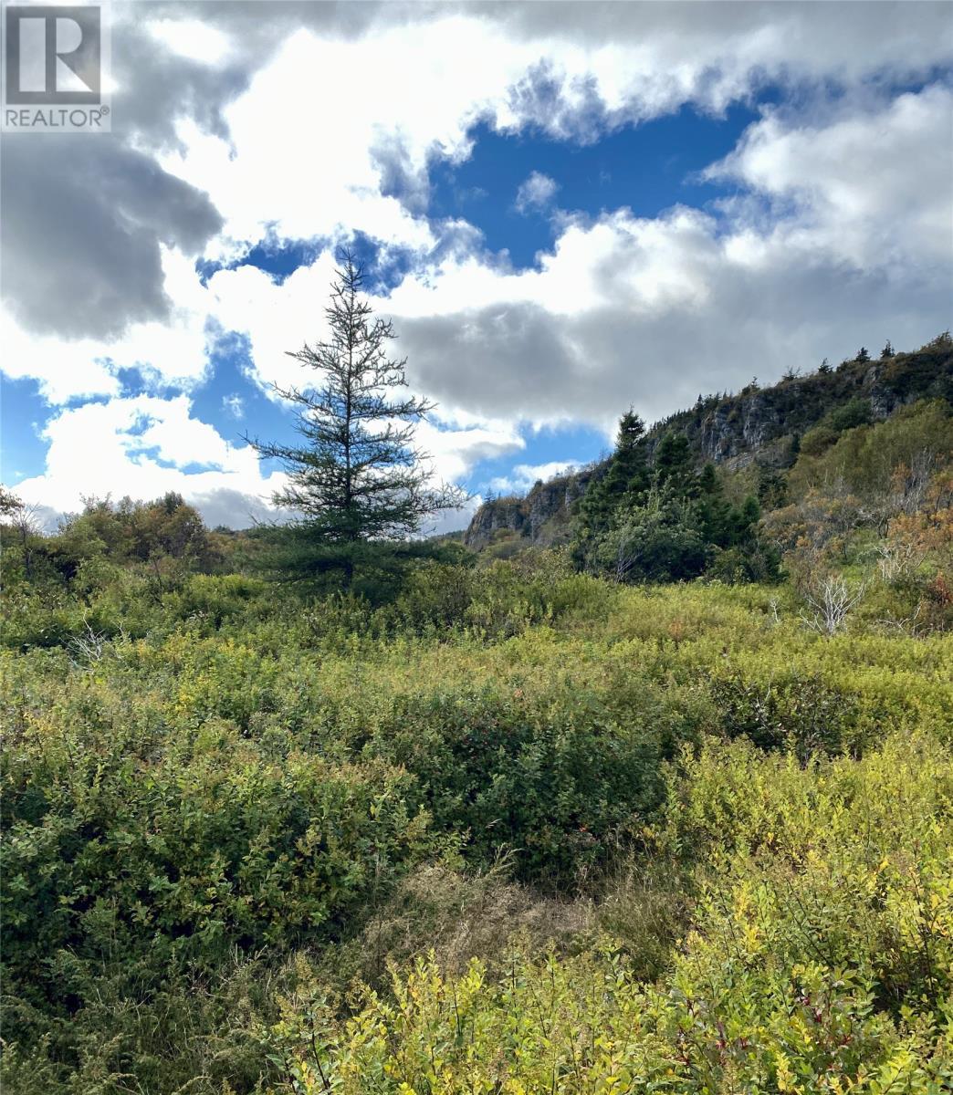 6-8 Old Road N, Salmon Cove, NL