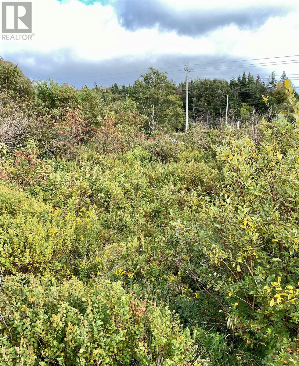 6-8 Old Road N, Salmon Cove, NL