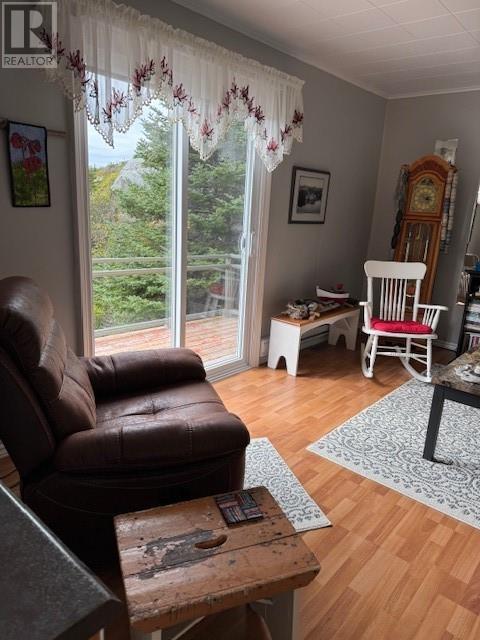 42 Big Bottom Road, Rose Blanche, NL - Indoor Photo Showing Living Room