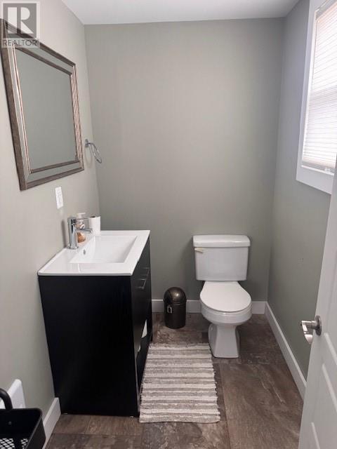 8 Riverloop Crescent, Gander Bay, NL - Indoor Photo Showing Bathroom
