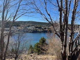 288 Conception Bay Highway, Harbour Main, NL