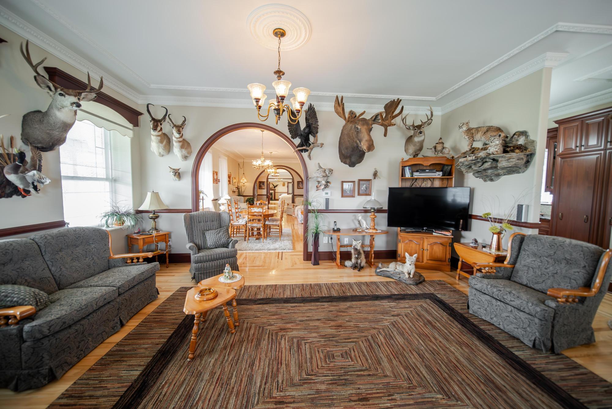 120 Wattsville Road, Cranbrook, BC - Indoor Photo Showing Living Room