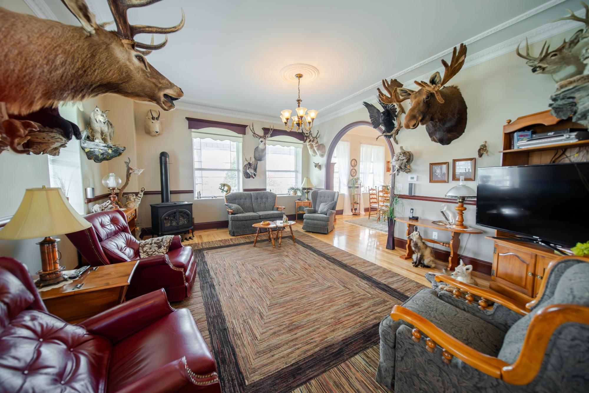 120 Wattsville Road, Cranbrook, BC - Indoor Photo Showing Living Room