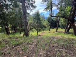 422 Elizabeth Dr Salt Spring, BC V8K 1J5