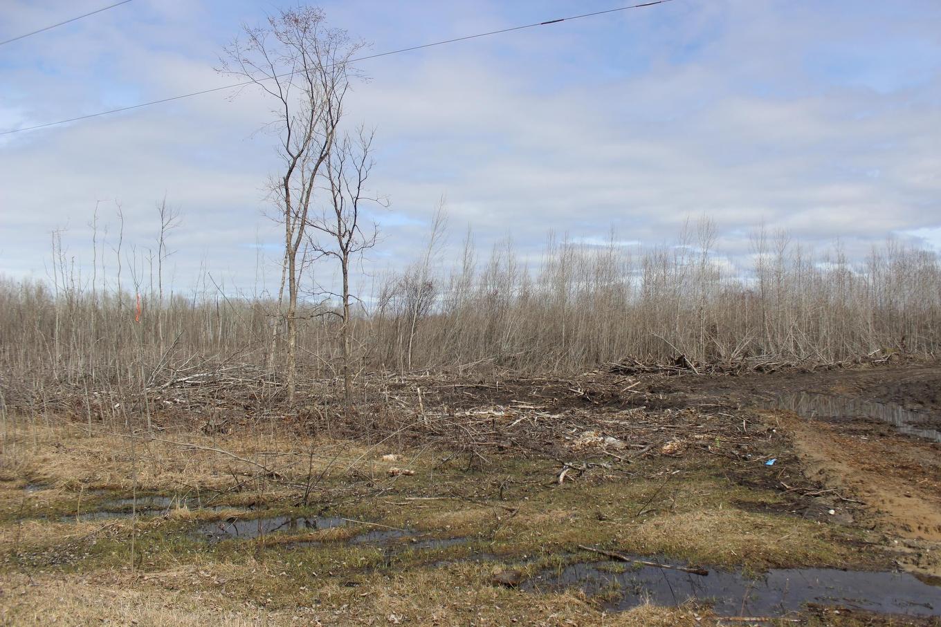 360 River Rd, Rainy River, ON