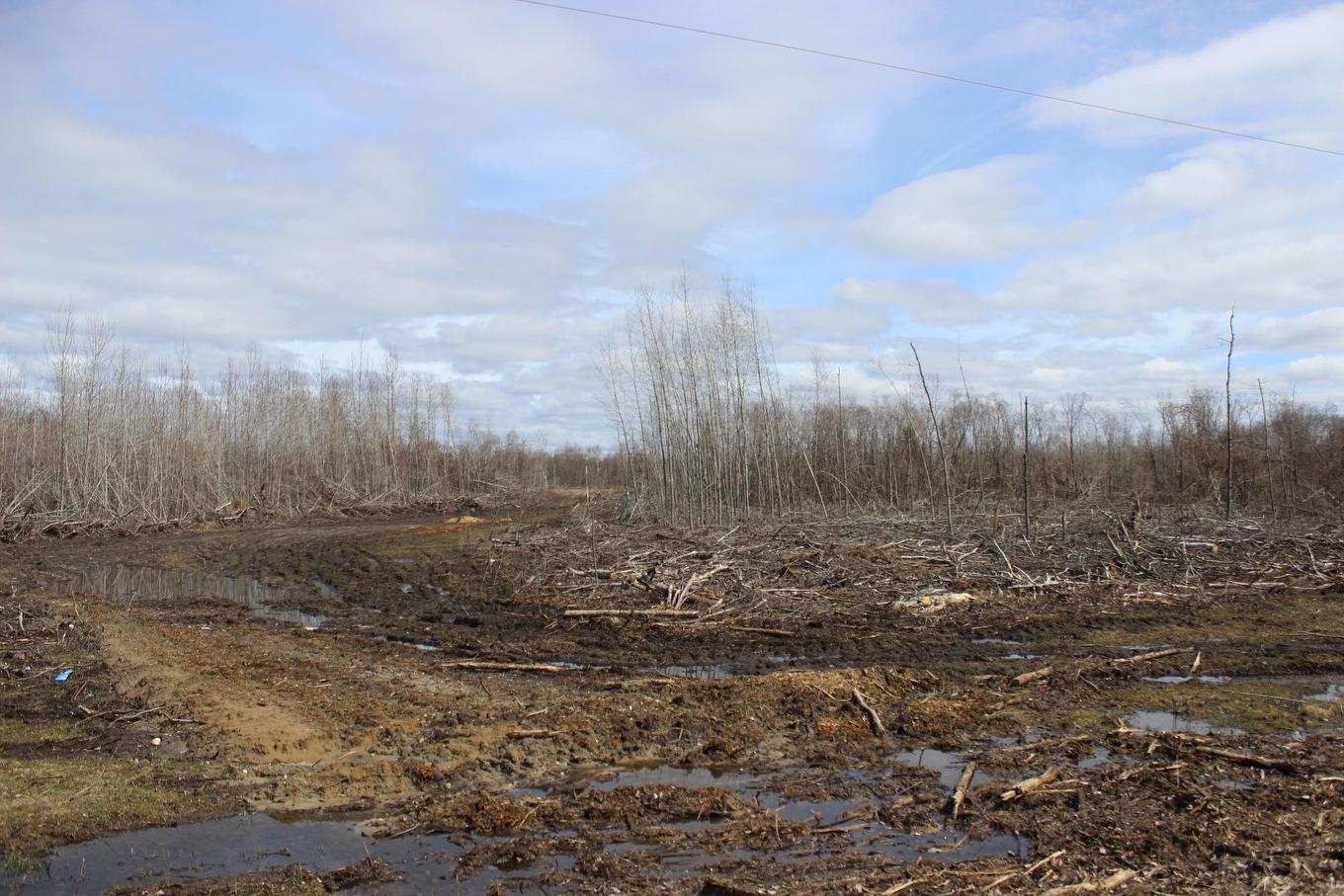 360 River Rd, Rainy River, ON