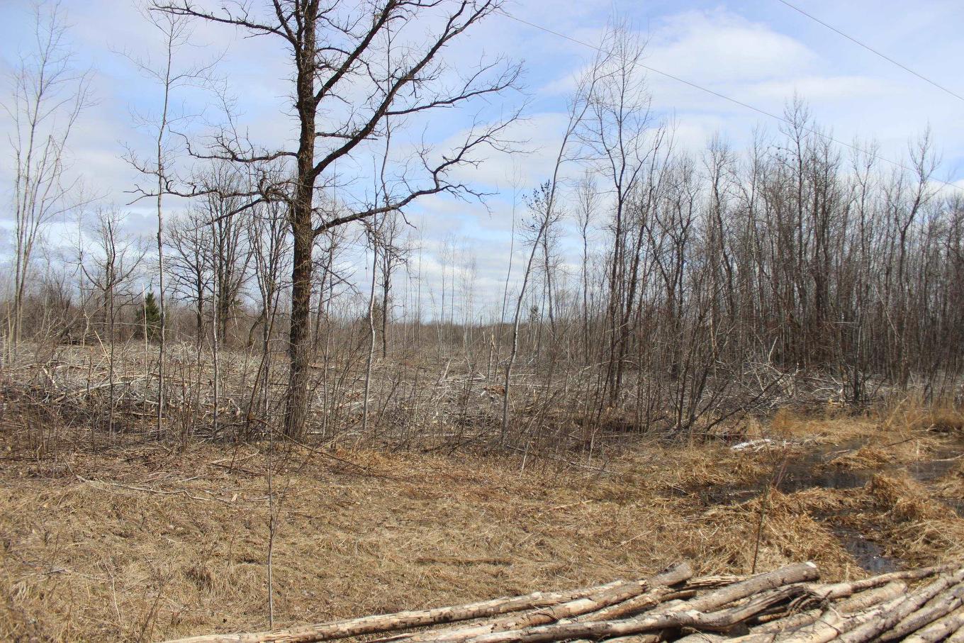 360 River Rd, Rainy River, ON