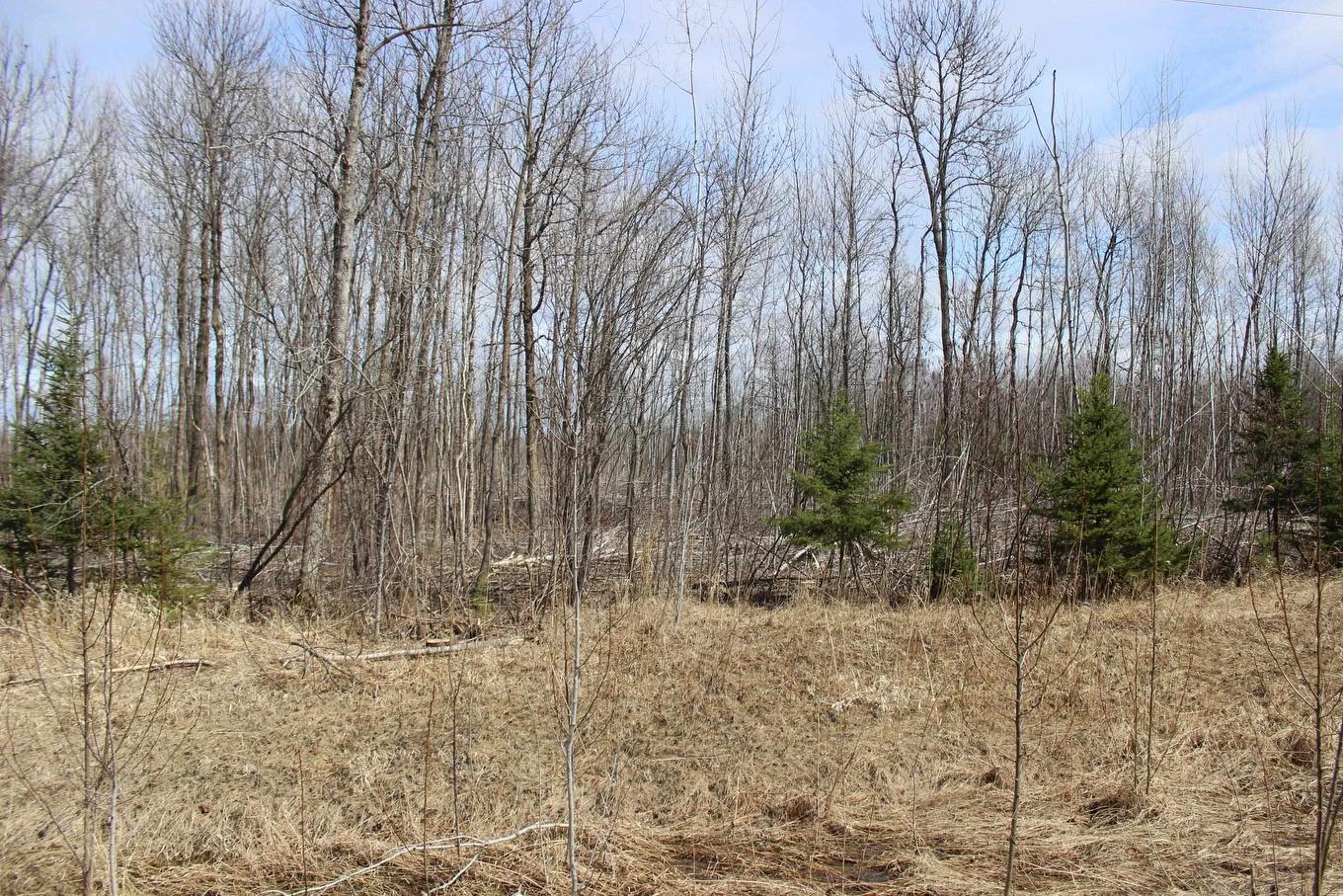 360 River Rd, Rainy River, ON