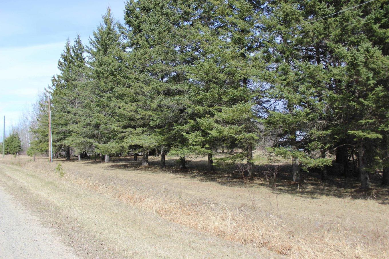 360 River Rd, Rainy River, ON