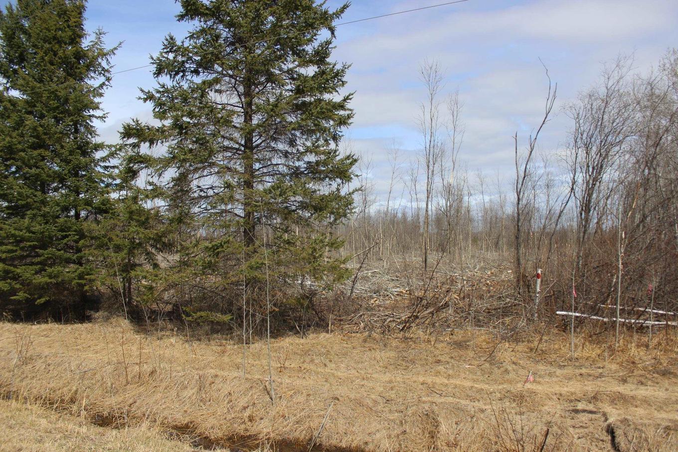 360 River Rd, Rainy River, ON