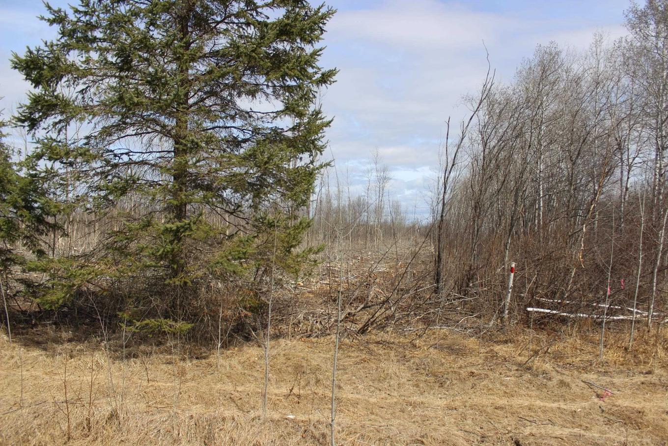 360 River Rd, Rainy River, ON