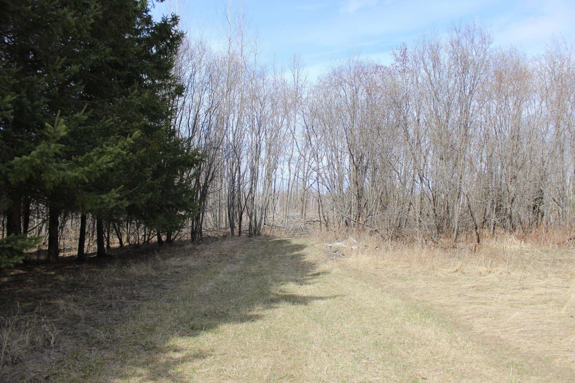 360 River Rd, Rainy River, ON