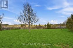 back yard overlooking fields -