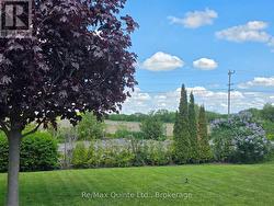Newly planted cedar trees gives privacy from trail -