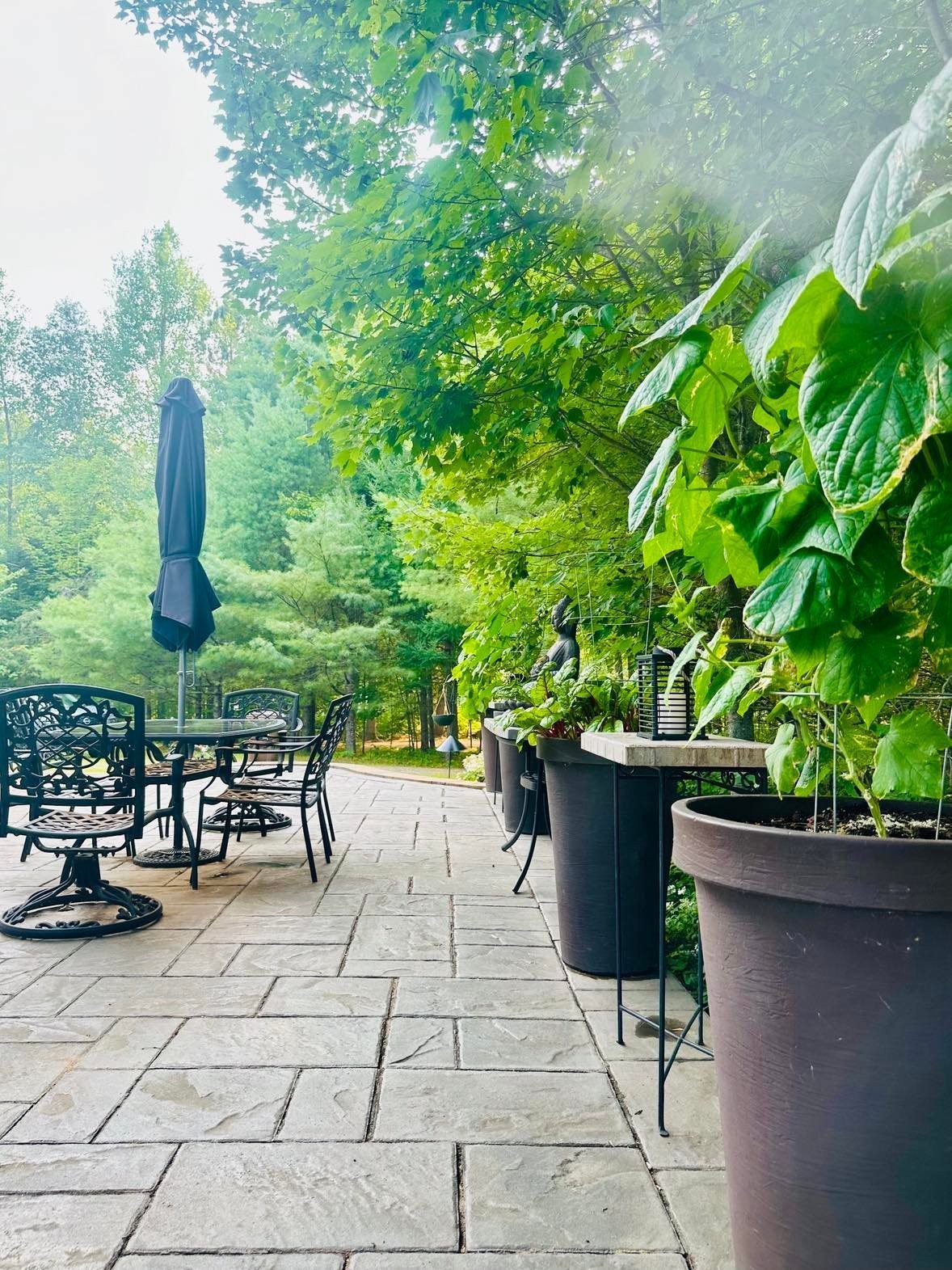 Patio - 100 Ch. Mccarthy, Grand-Remous, QC - Outdoor