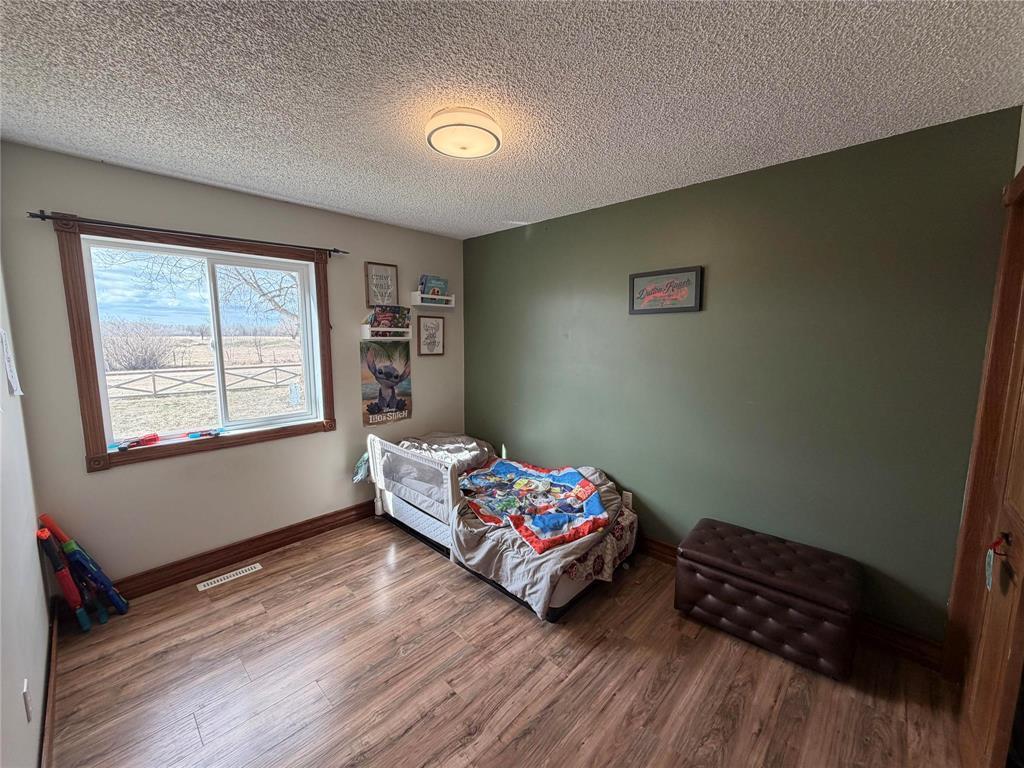 30113 20N Road, Grunthal, MB - Indoor Photo Showing Bedroom