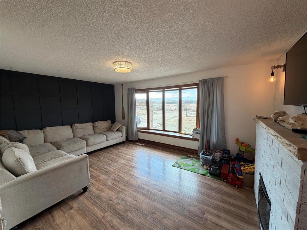30113 20N Road, Grunthal, MB - Indoor Photo Showing Living Room With Fireplace